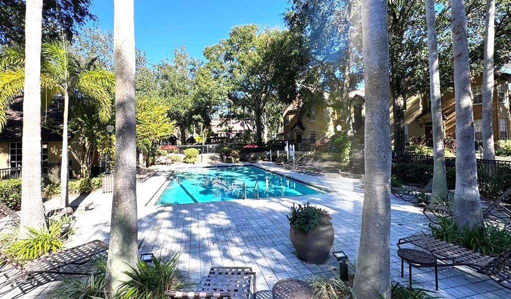 6376 Raleigh Street, Unit 2001 Orlando, FL 32835 - Photo 22 of 24 Gallery Image 22