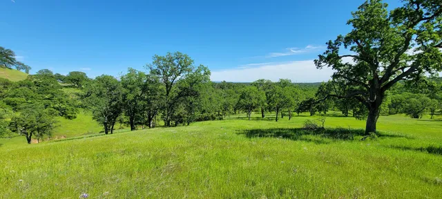 a view of field with trees in the background