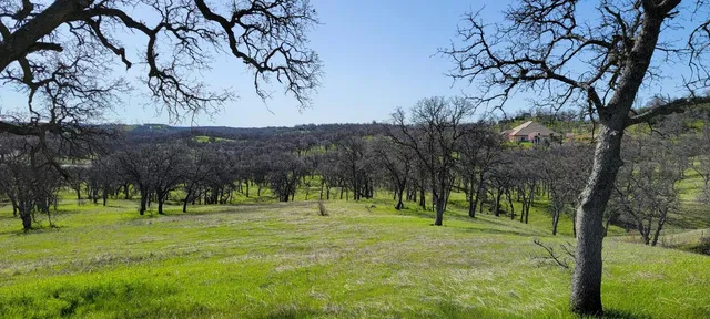 a view of park space