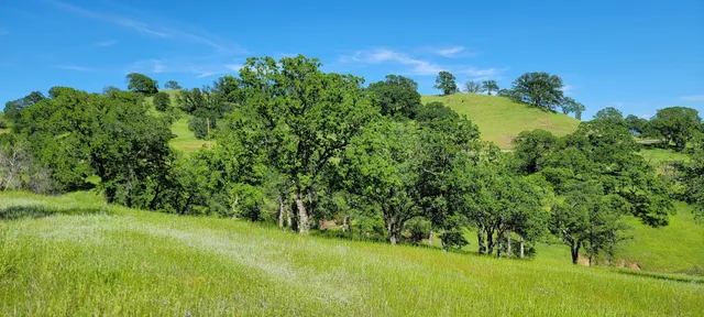 a view of a green yard