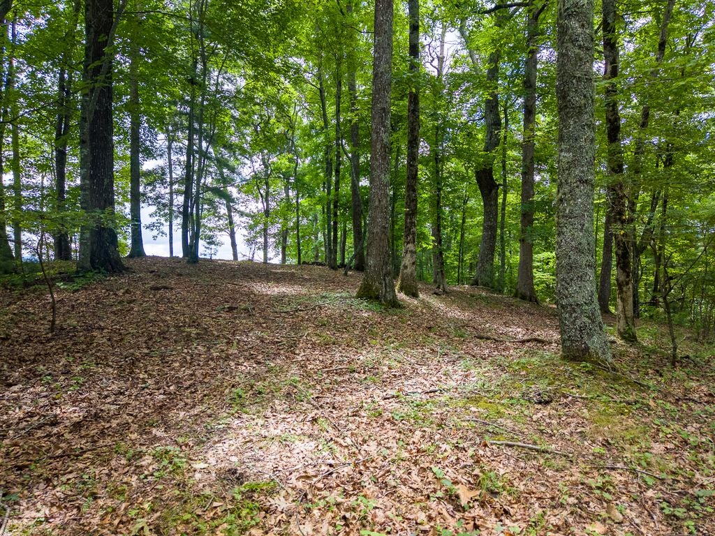 752 Shepherds Gap Road Cullowhee, NC 28723 - Photo 7 of 17 Gallery Image 7