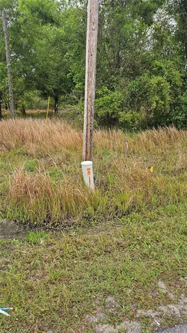 $261,000 | 1298 Old Bradenton Road, Wauchula, FL 33873