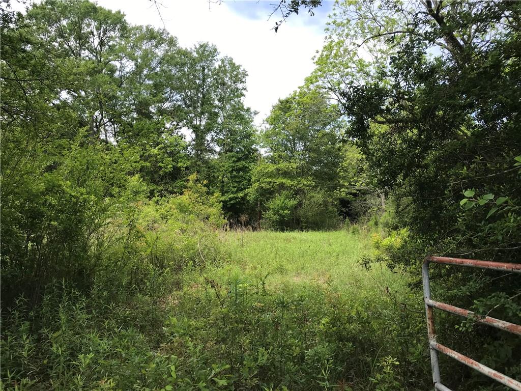 Tbd Military Road Angie, LA 70426 - Photo 5 of 10