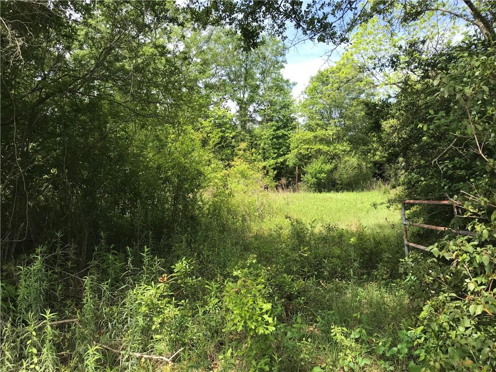 Tbd Military Road Angie, LA 70426 - Photo 6 of 10