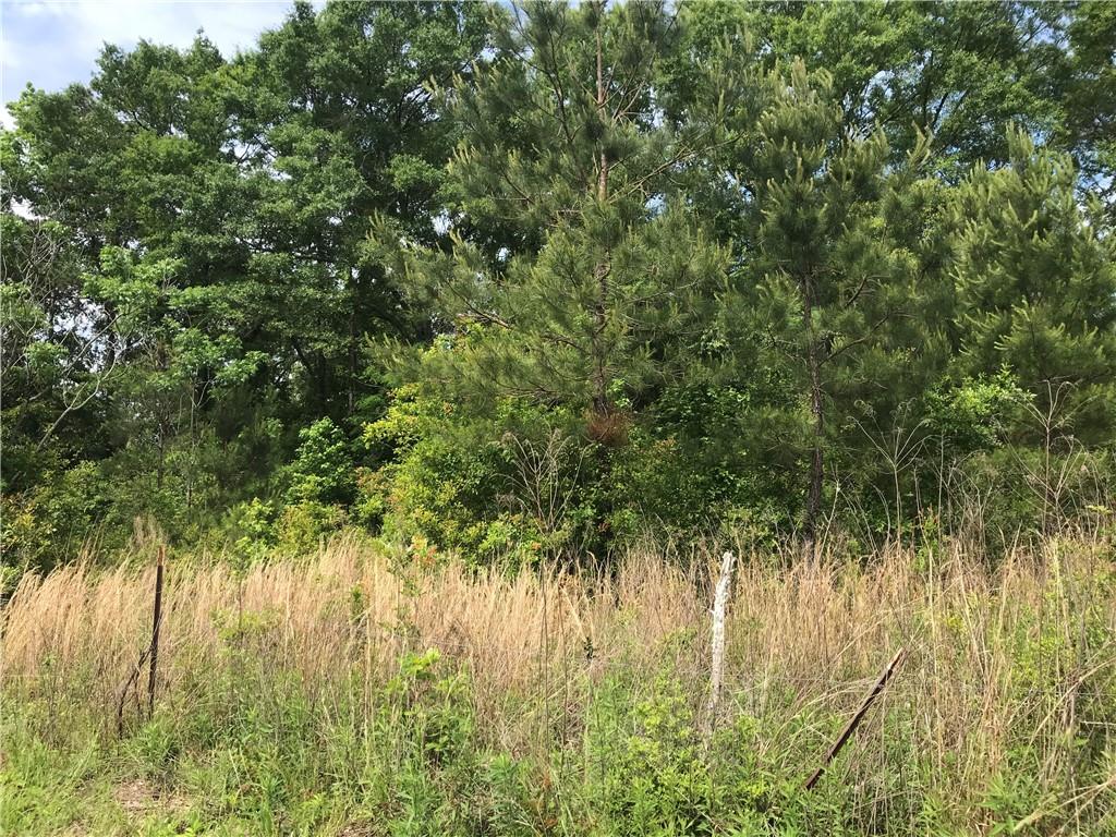 Tbd Military Road Angie, LA 70426 - Photo 9 of 10