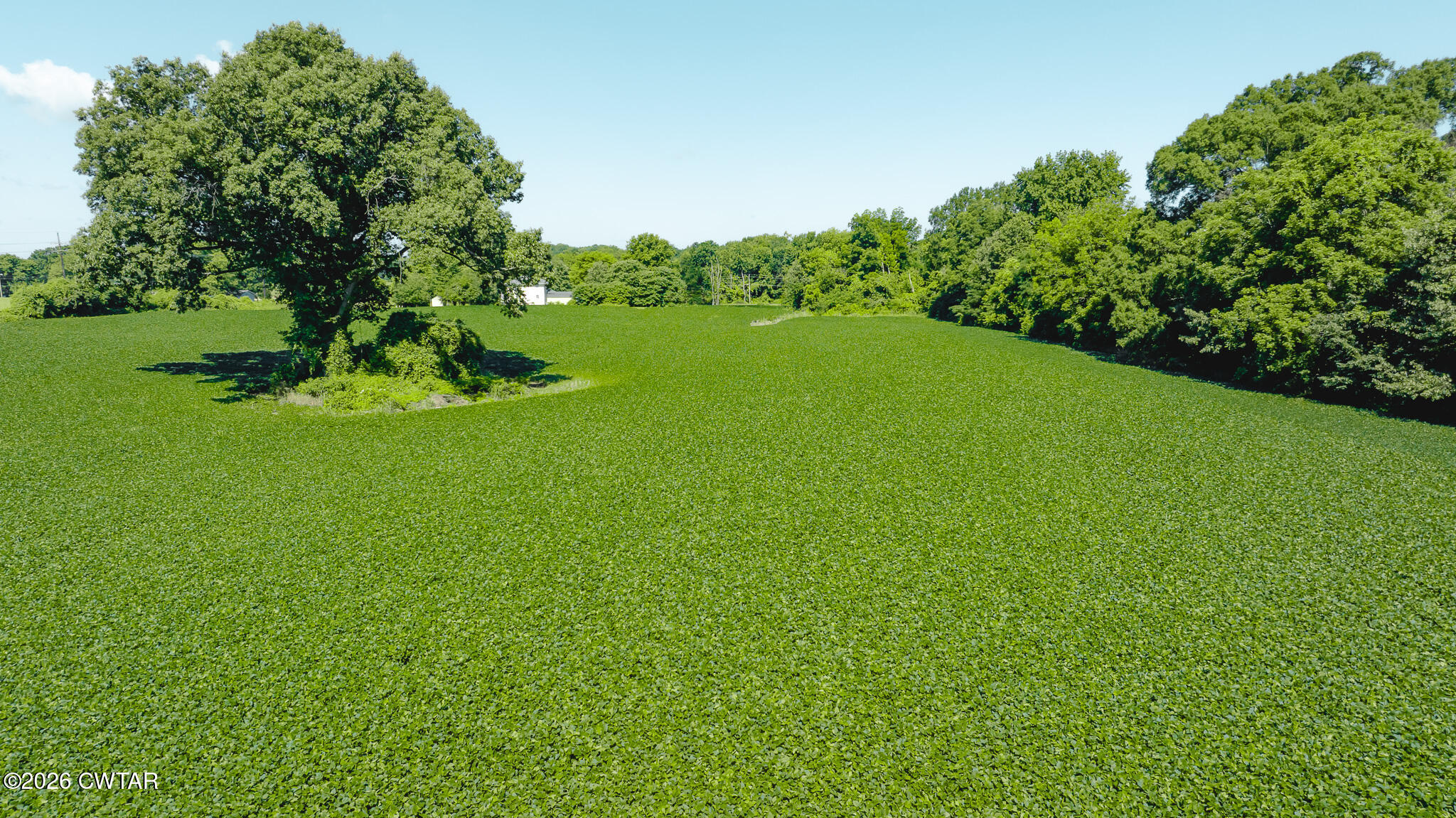 0 Oakshire Road Union City, TN 38261 - Photo 9 of 19 DJI_20260614170050_0007_D
