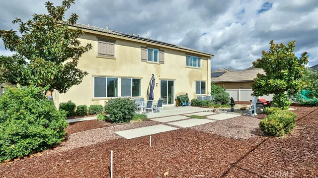 a close up of a flower in a garden