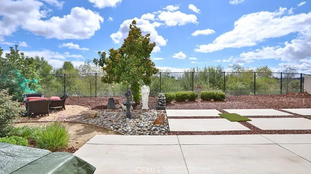a view of a tree with lots of flower
