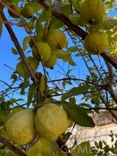 $899,999 | 32611 Chambord Street, Winchester, CA 92596