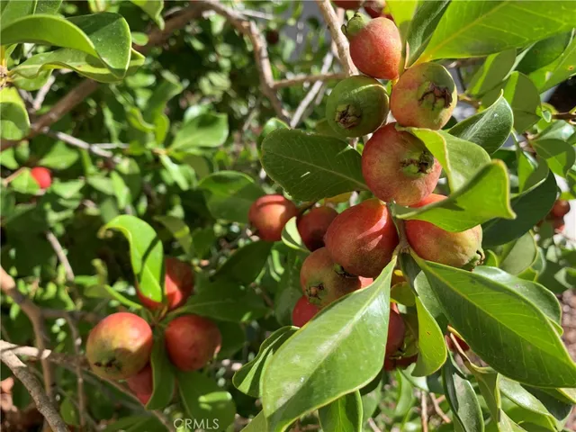 $899,999 | 32611 Chambord Street, Winchester, CA 92596