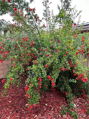 $899,999 | 32611 Chambord Street, Winchester, CA 92596