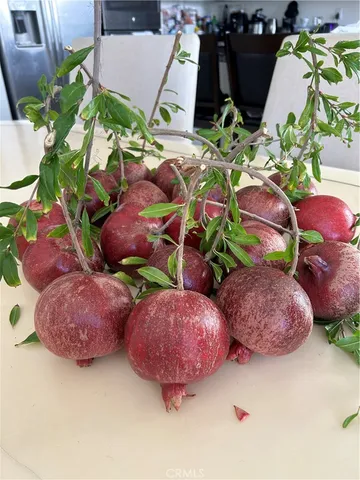 $899,999 | 32611 Chambord Street, Winchester, CA 92596