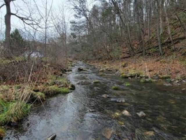 9755 Big Valley Road Warm Springs, VA 24484 - Photo 10 of 11