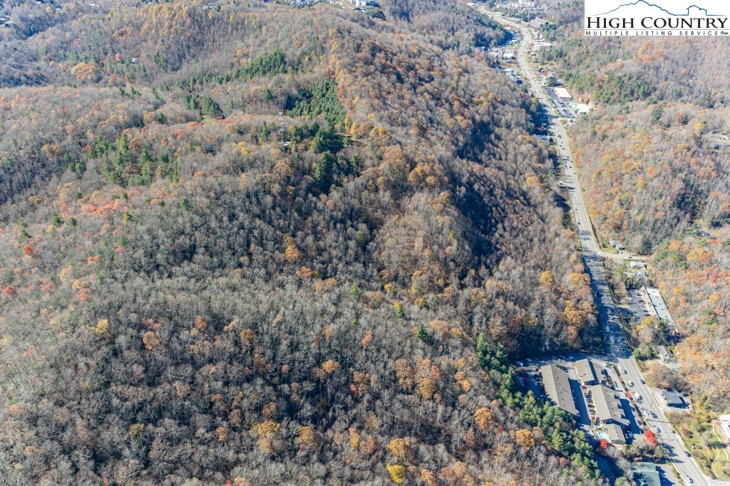 105 Highway Boone Nc 28607 Boone, NC 28607 - Photo 17 of 19 a view of a yard with a tree