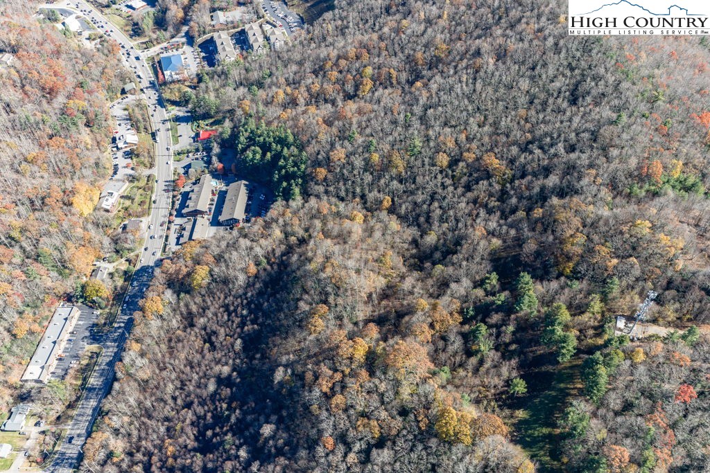 105 Highway Boone Nc 28607 Boone, NC 28607 - Photo 18 of 19 a picture of trees