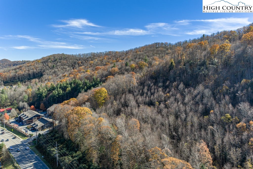 105 Highway Boone Nc 28607 Boone, NC 28607 - Photo 3 of 19 a view of a city with lush green forest
