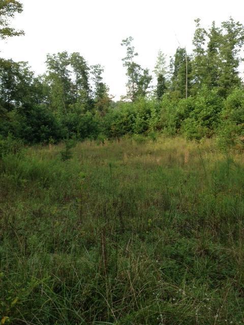1235 Forest Service Road Somerset, KY 42501 - Photo 9 of 10 Additional Photo