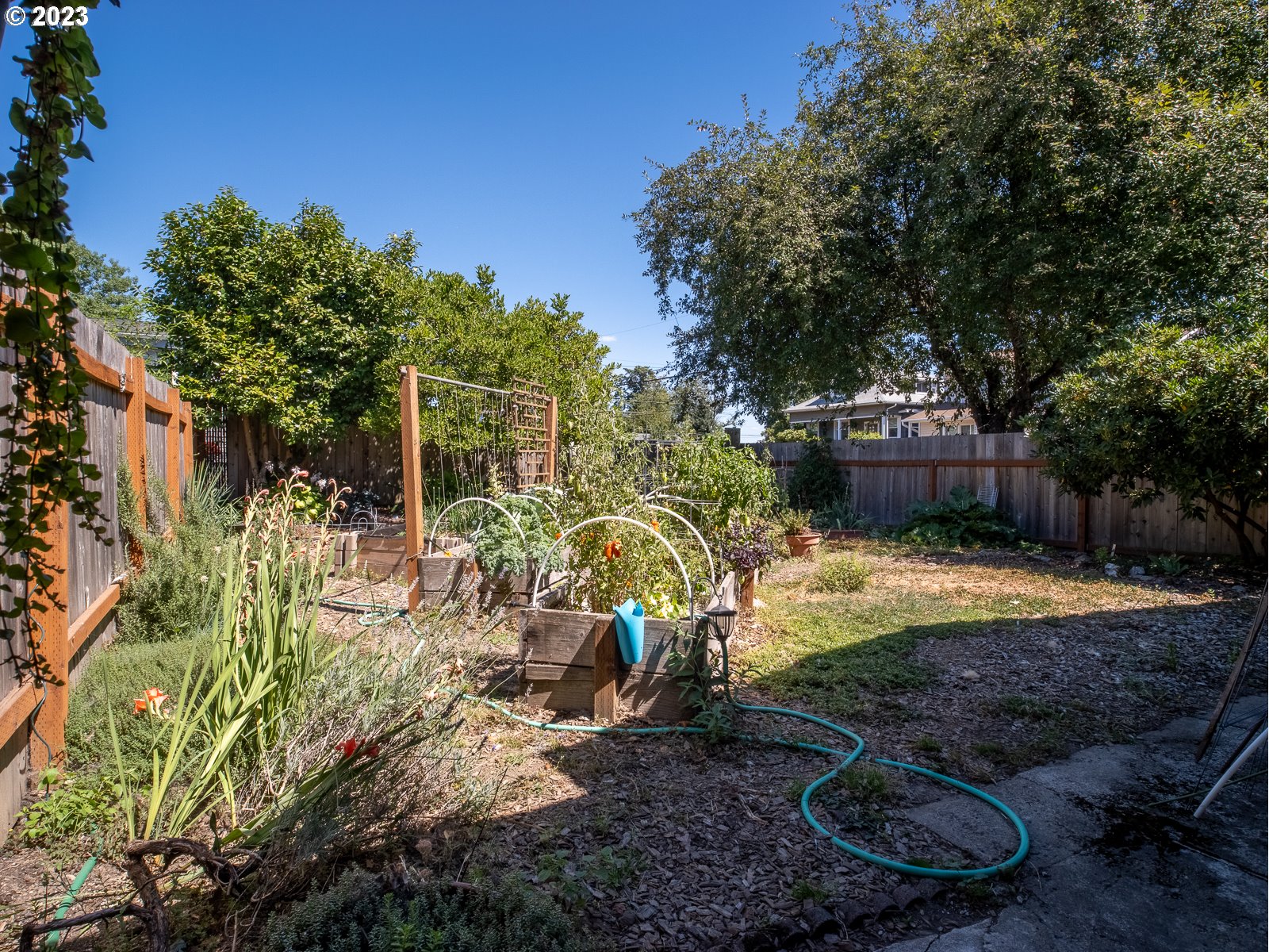 903 North Winchell Street Portland, OR 97217 - Photo 30 of 34 a view of a backyard with plants and tree