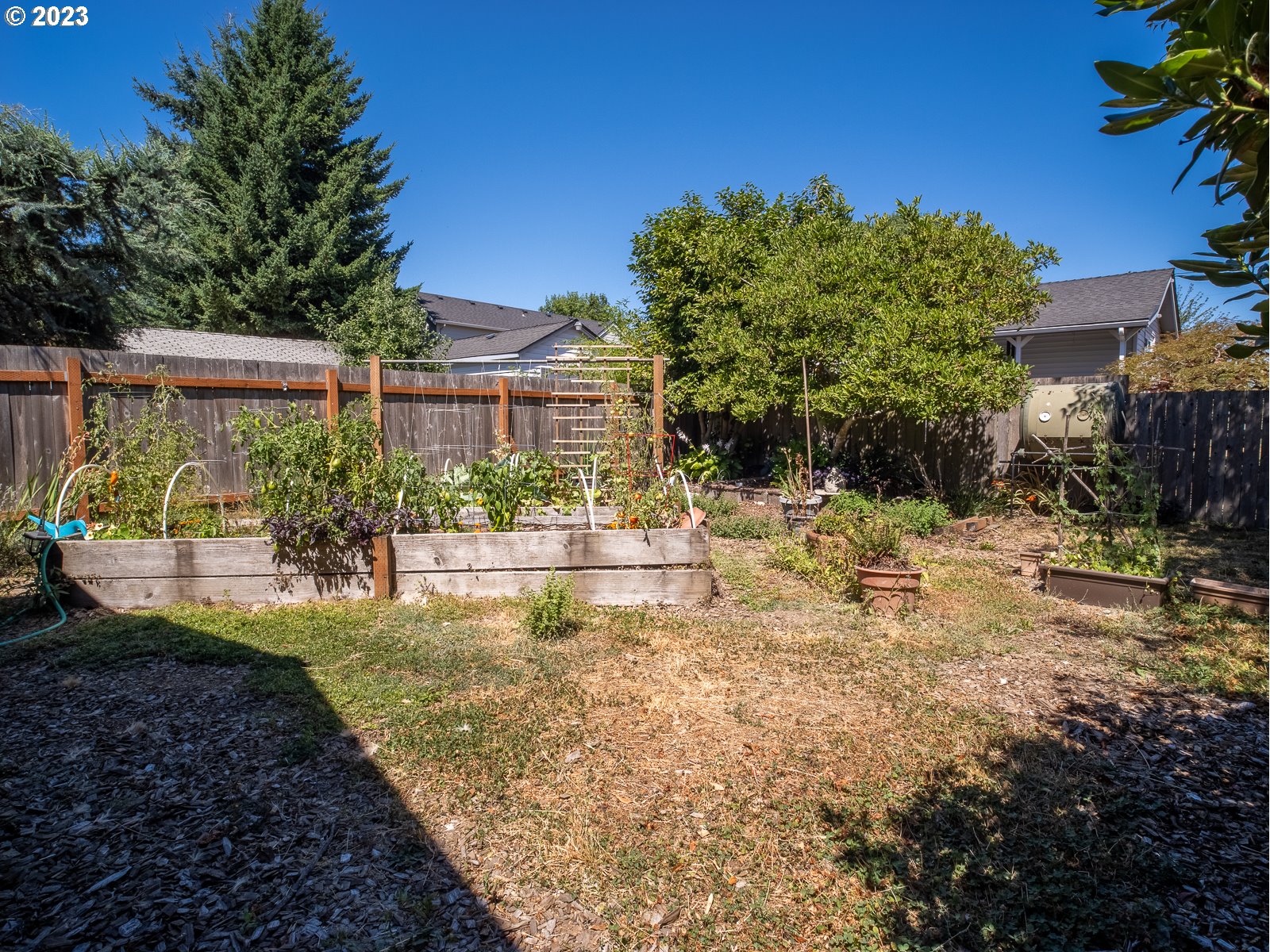 903 North Winchell Street Portland, OR 97217 - Photo 31 of 34 a view of backyard of the house