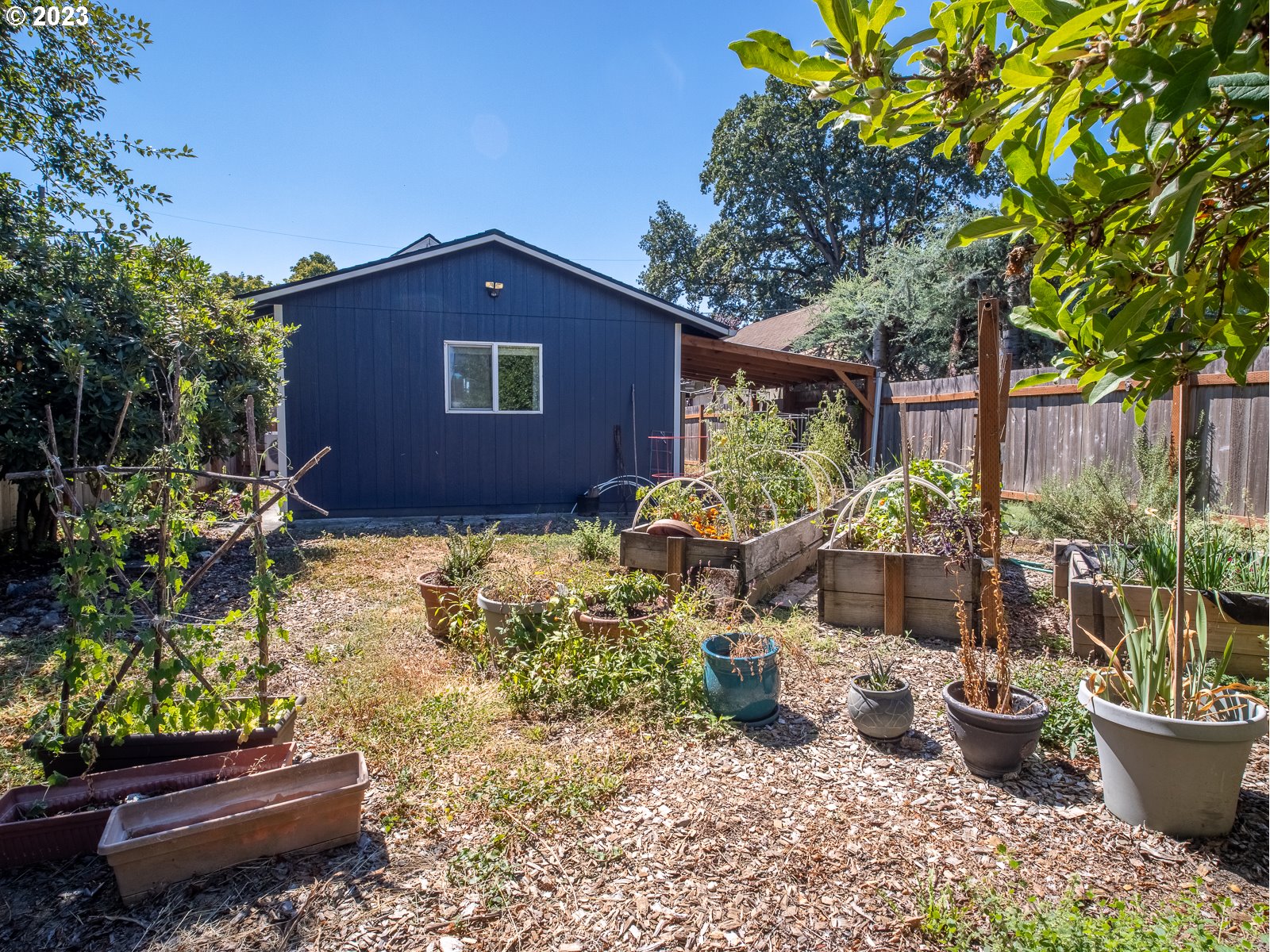903 North Winchell Street Portland, OR 97217 - Photo 33 of 34 a view of a backyard with plants and large trees