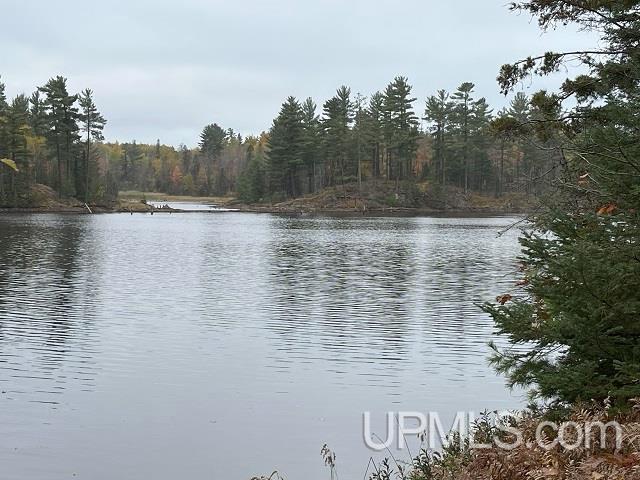 24380 Co Road Ishpeming, MI 49849 - Photo 52 of 92