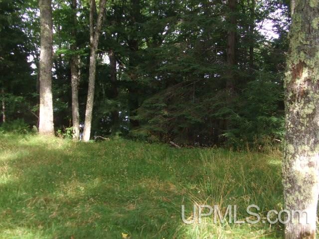 C-wi Island Lake Road, Unit 23 Hurley, WI 54534 - Photo 1 of 7