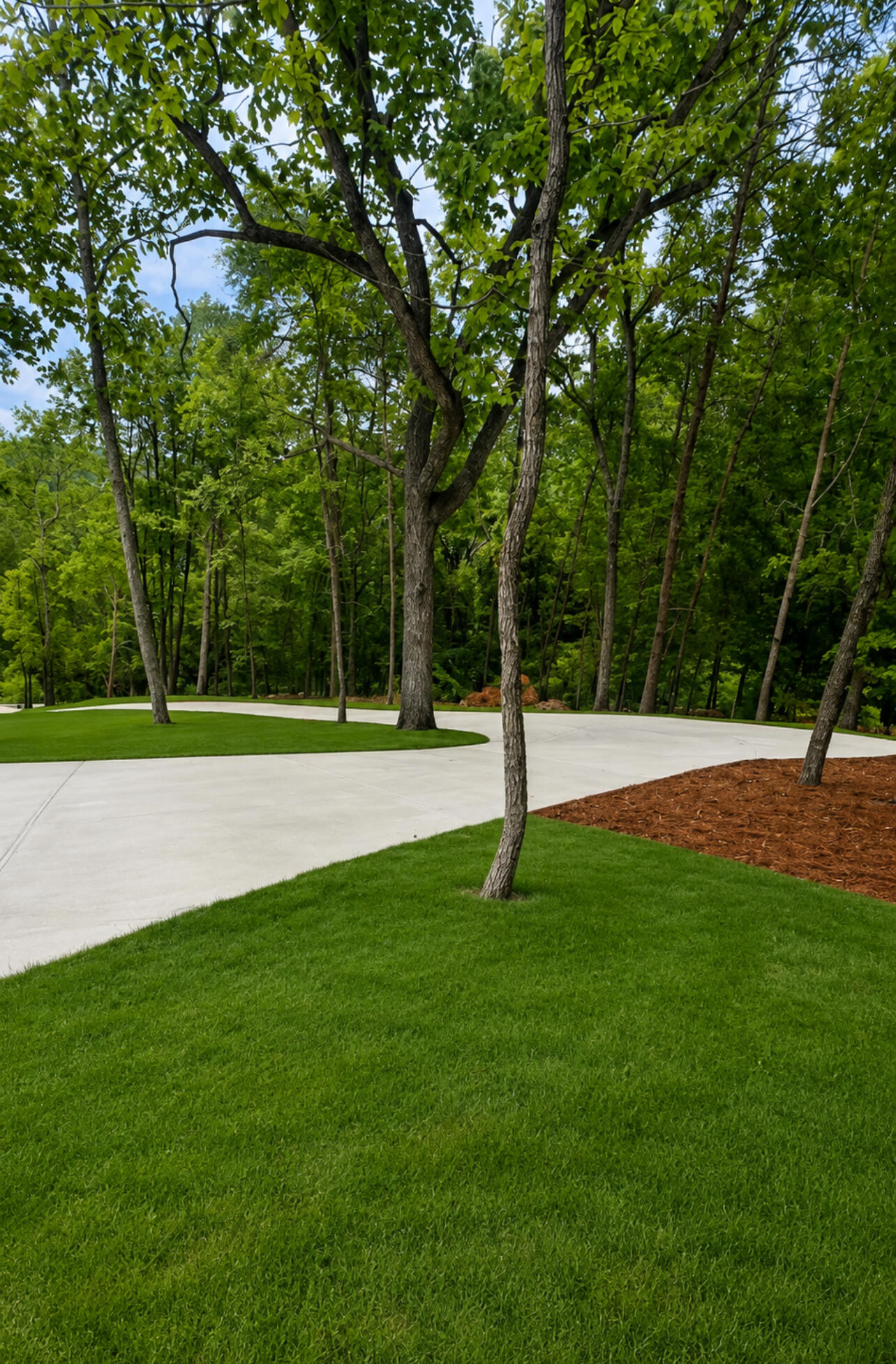6318 Shirley Pond Road Harrison, TN 37341 - Photo 63 of 66 IMG_1206