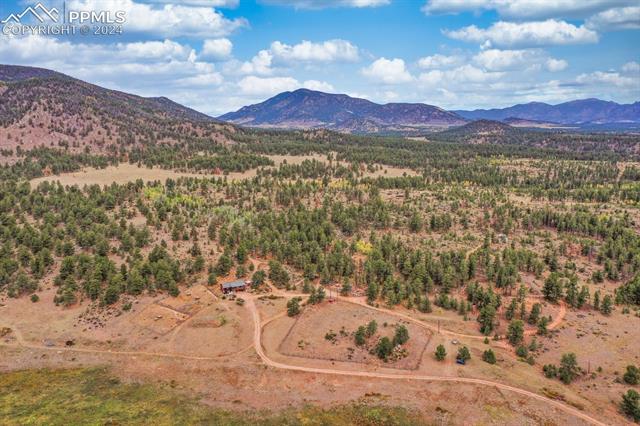 1321 Stoll Ranch Road Lake George, CO 80827 - Photo 49 of 50 Gallery Image 49