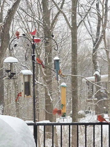 $449,900 | 438 Cresthaven Drive, Lawrenceburg, IN 47025