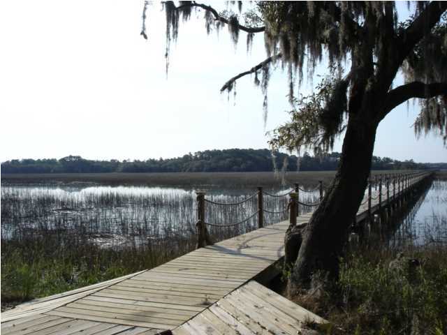 7687 Russell Creek Road Edisto Island, SC 29438 - Photo 5 of 16 Additional Photo