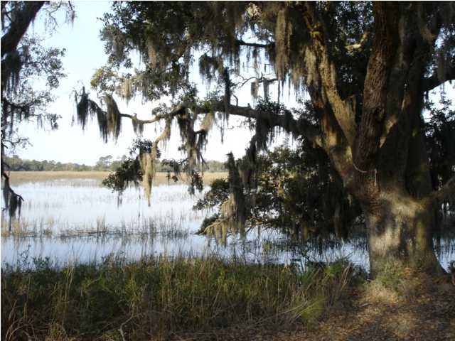 7687 Russell Creek Road Edisto Island, SC 29438 - Photo 6 of 16 Additional Photo