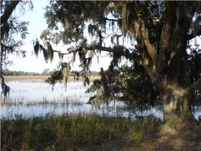7687 Russell Creek Road Edisto Island, SC 29438 - Photo 10 of 16 Additional Photo