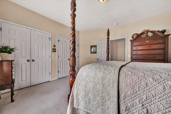 a room with furniture and a potted plant
