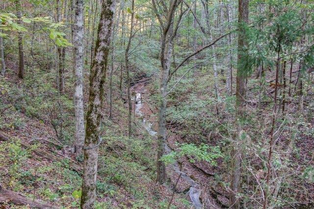 234 Cothran Road Waynesboro, TN 38485 - Photo 28 of 30 Gallery Image 28