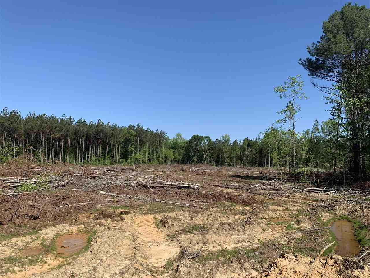 0 St Anne Road Carthage, MS 39051 - Photo 12 of 15 Photo 12