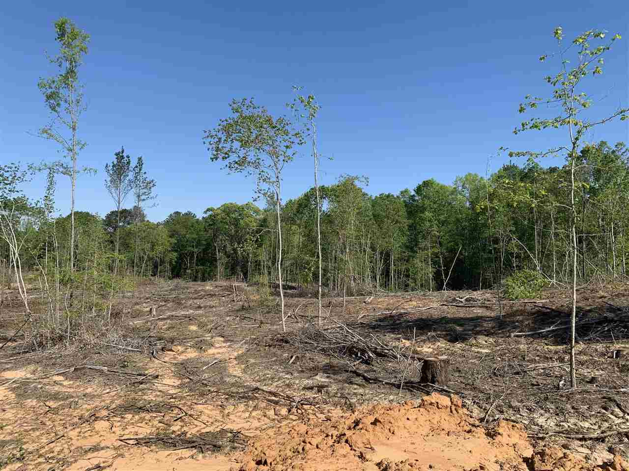 0 St Anne Road Carthage, MS 39051 - Photo 14 of 15 Photo 14