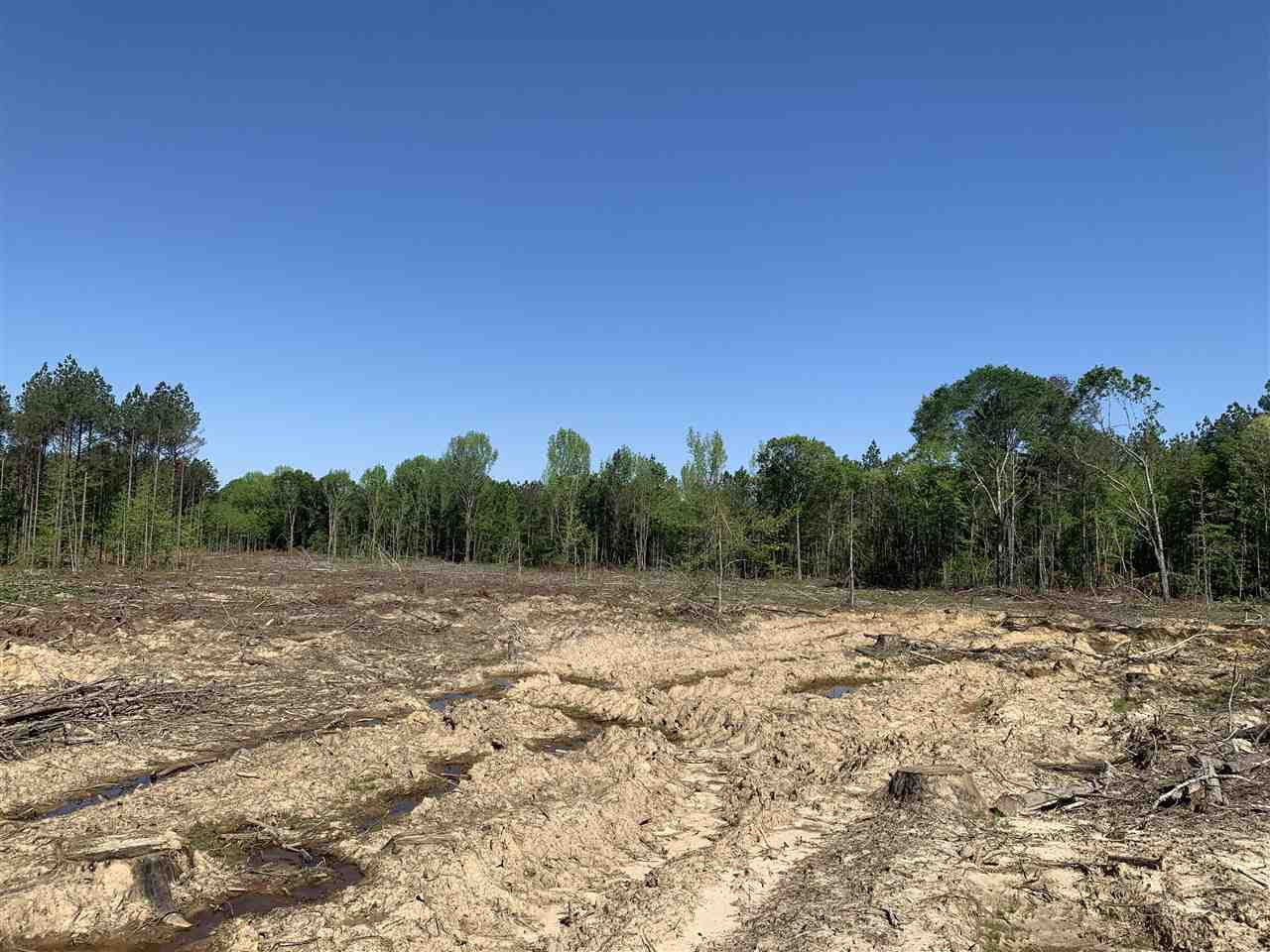 0 St Anne Road Carthage, MS 39051 - Photo 15 of 15 Photo 15