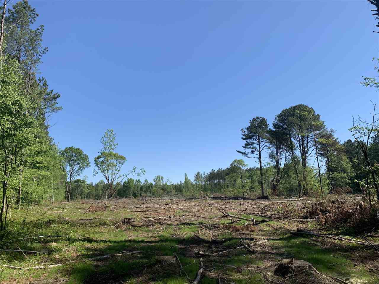 0 St Anne Road Carthage, MS 39051 - Photo 2 of 15 Photo 2