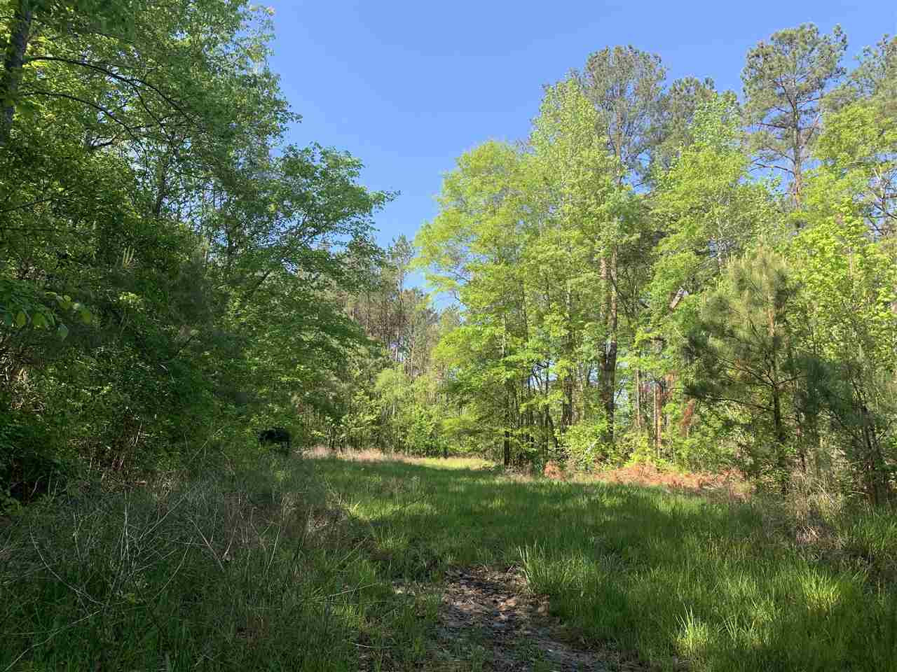 0 St Anne Road Carthage, MS 39051 - Photo 5 of 15 Photo 5