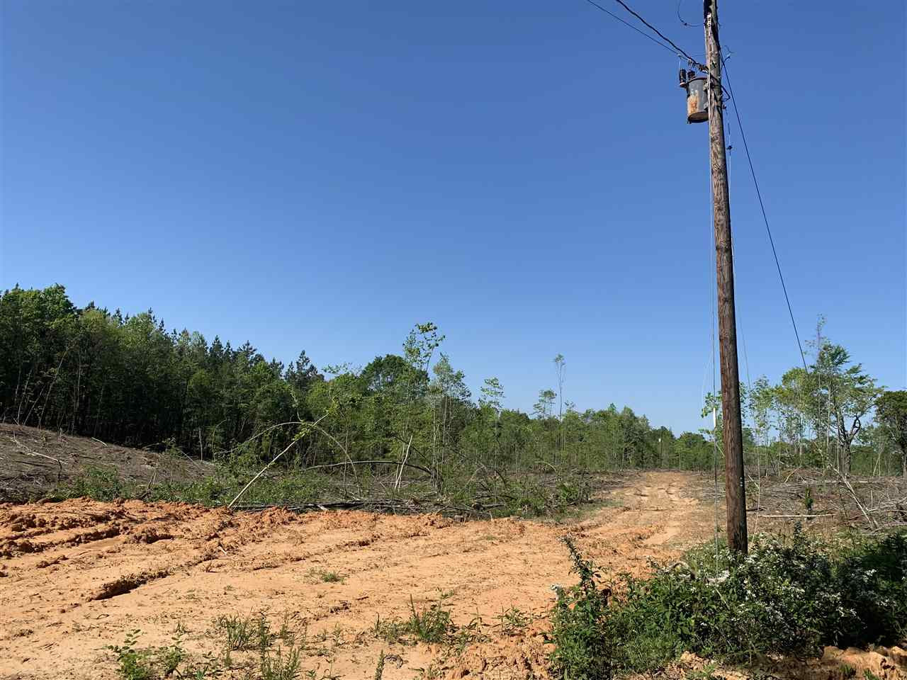 0 St Anne Road Carthage, MS 39051 - Photo 6 of 15 Photo 6