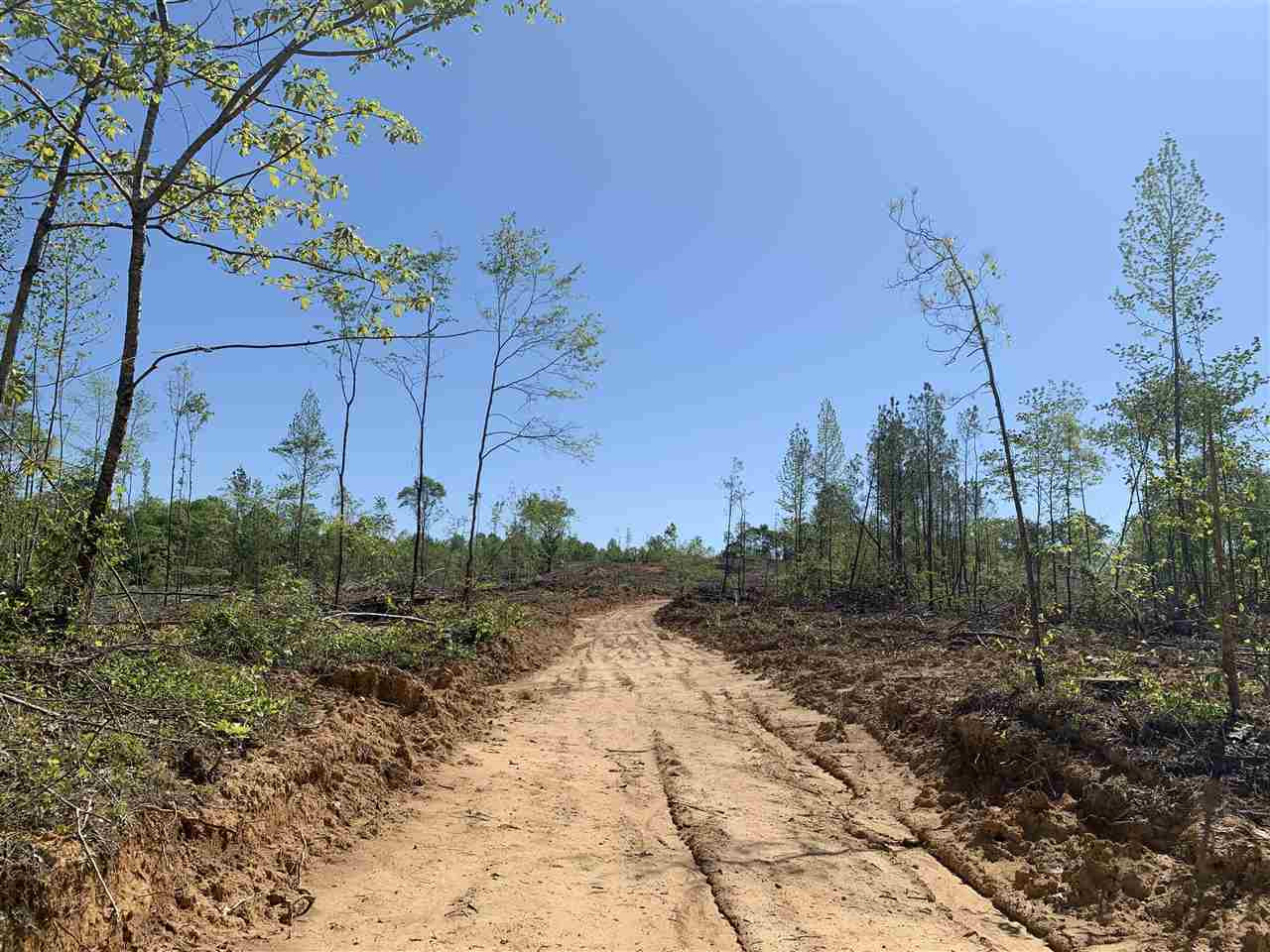 0 St Anne Road Carthage, MS 39051 - Photo 7 of 15 Photo 7