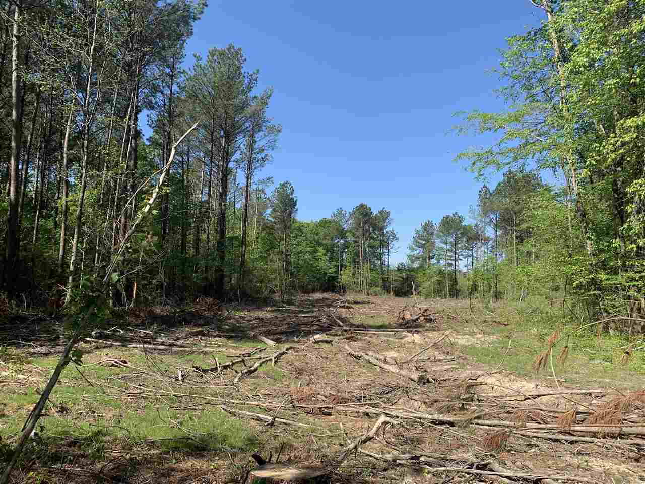 0 St Anne Road Carthage, MS 39051 - Photo 8 of 15 Photo 8