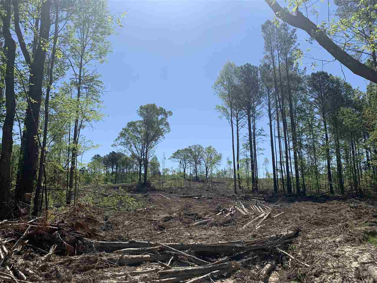 0 St Anne Road Carthage, MS 39051 - Photo 10 of 15 Photo 10