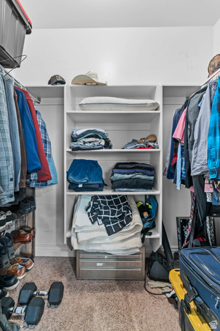 476 West 200 N Street, Unit 206 Springville, UT 84663 - Photo 13 of 24 Walk in closet with light carpet