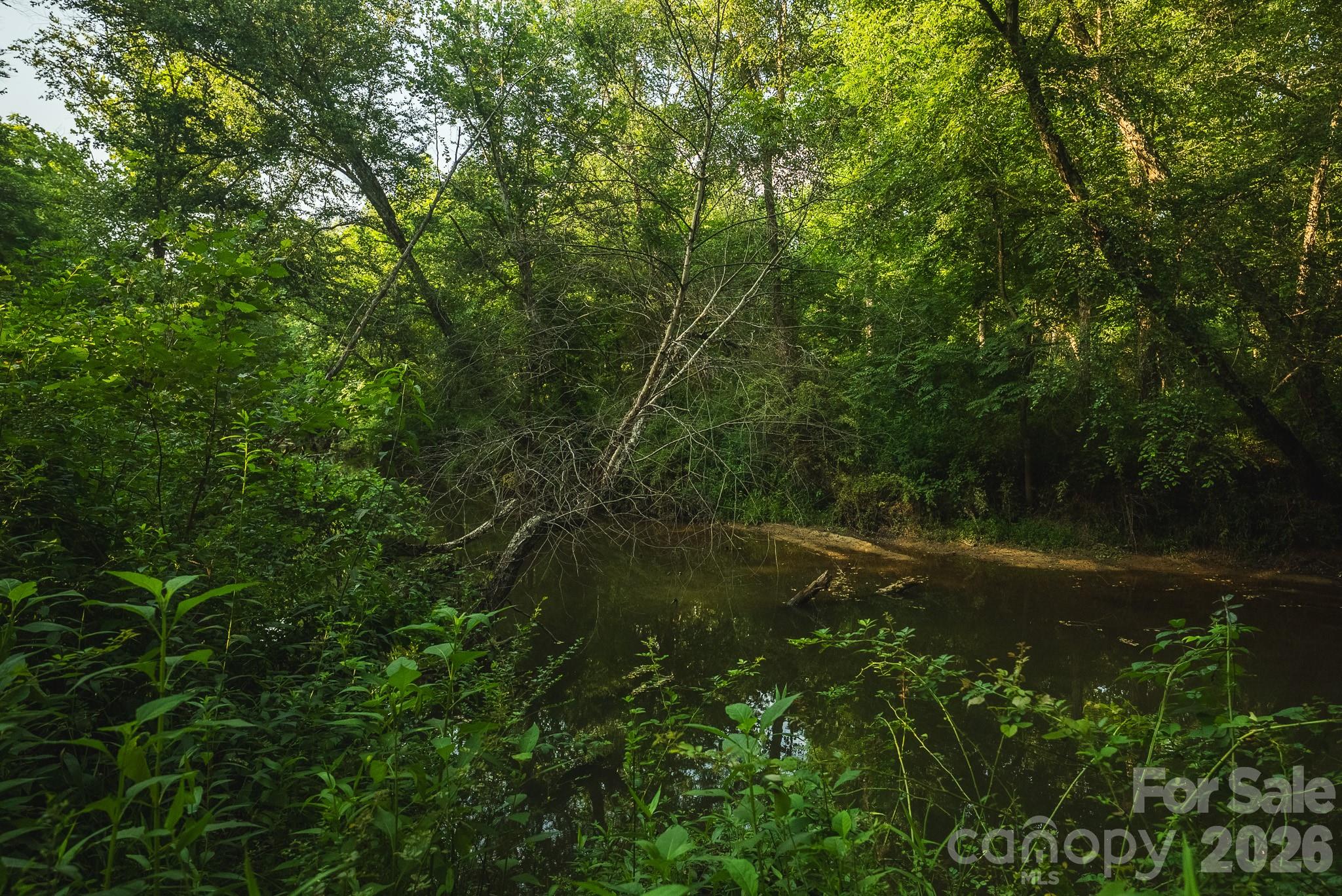 Tbd Sandbar Road Granite Falls, NC 28630 - Photo 36 of 43