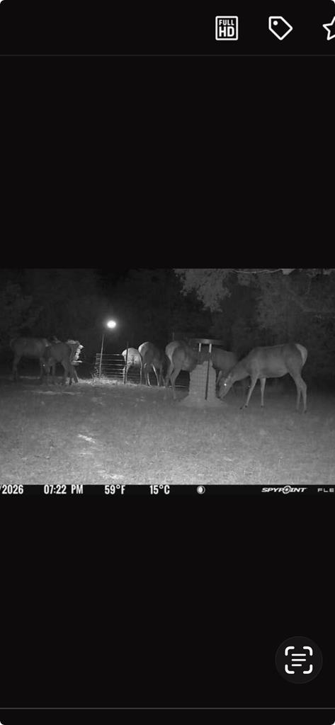 180 Bee Hive Road Hunt, TX 78024 - Photo 63 of 67