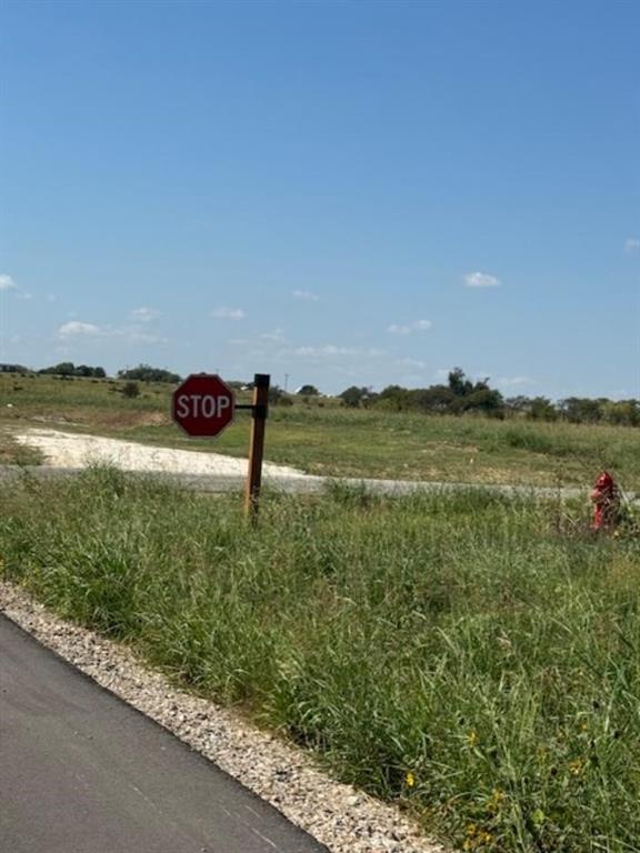6861 Eagle Creek Godley, TX 76044 - Photo 5 of 6 a view of a lake with a city