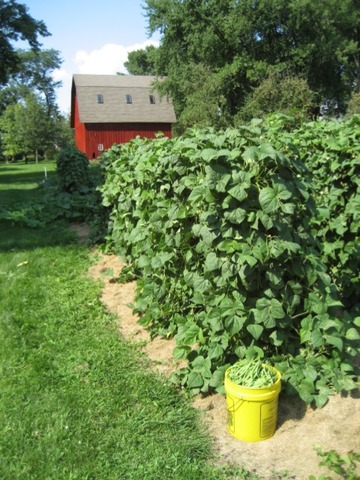 1072 German Road Paw Paw, IL 61353 - Photo 17 of 18