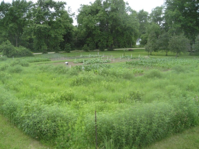 1072 German Road Paw Paw, IL 61353 - Photo 18 of 18