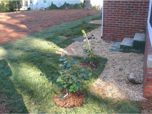127 Brooks Avenue Raleigh, NC 27607 - Photo 3 of 11 New Camelias on left side, drainage rock around founddation. Back Yard